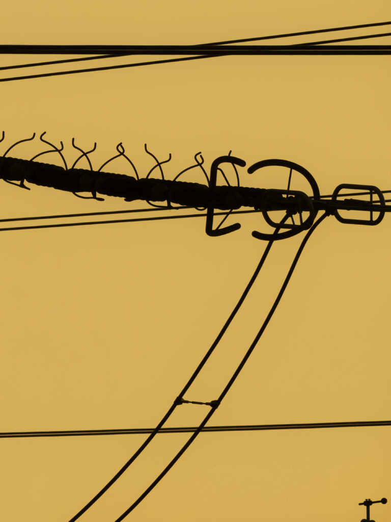 Stern von Laufenburg N° 7