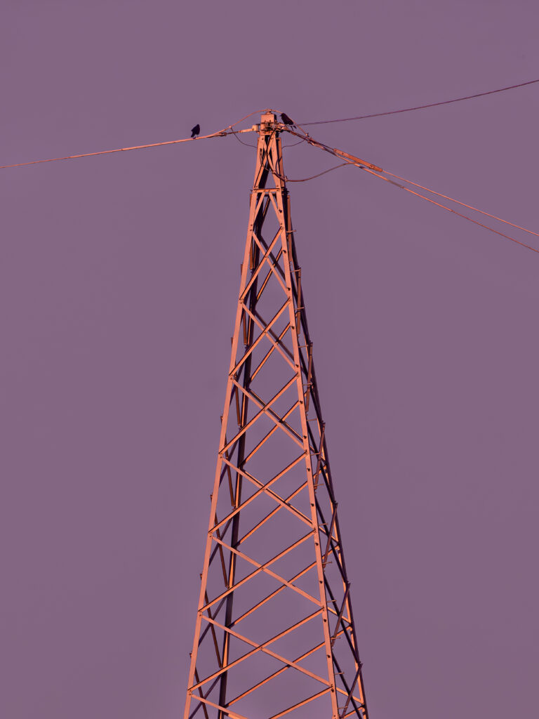 Stern von Laufenburg N° 17