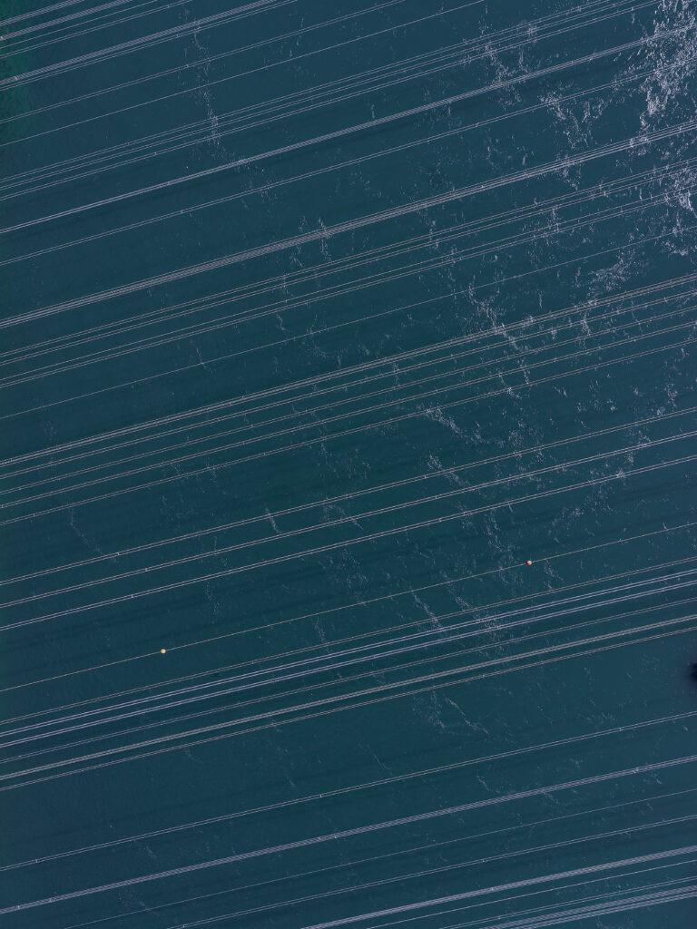 Stern von Laufenburg N° 18