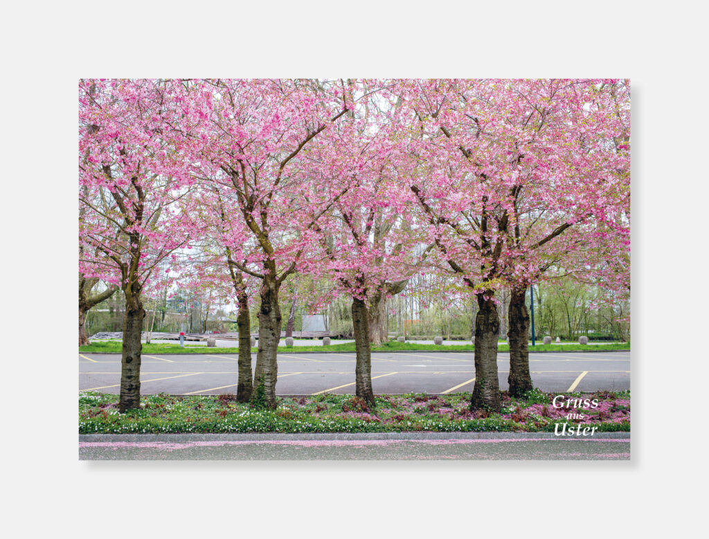 Gruss aus Uster N° 1