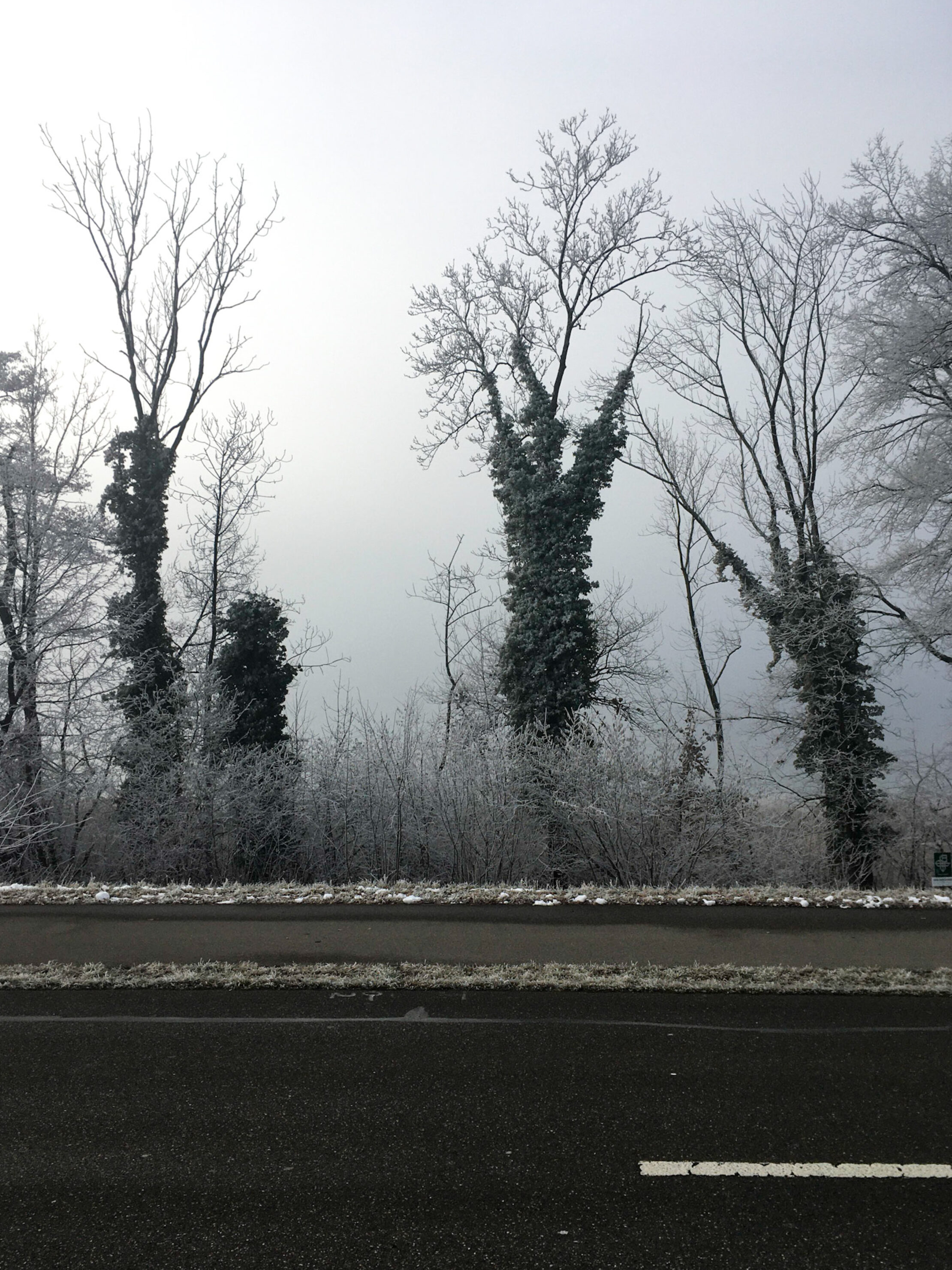 Greifensee N° 1